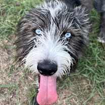 Thumbnail photo of Harper Jane (San Antonio) #2