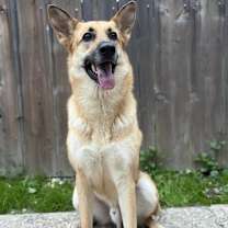 Thumbnail photo of Jesse #1