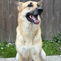 Thumbnail photo of Jesse #3