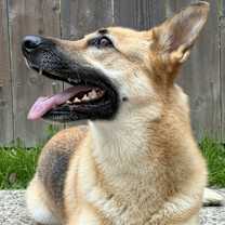 Thumbnail photo of Jesse #4