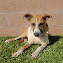 Thumbnail photo of Rylo #4