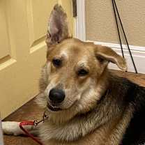 Thumbnail photo of Flash #1