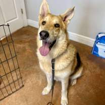 Thumbnail photo of Flash #2