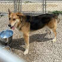 Thumbnail photo of Flash #3