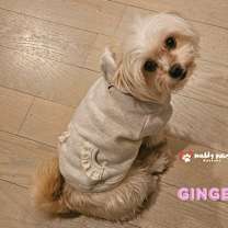 Thumbnail photo of Ginger #3