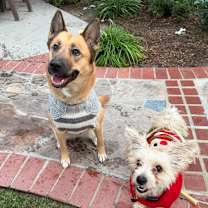 Thumbnail photo of Honey #2