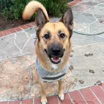 Thumbnail photo of Honey #3