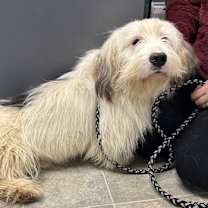 Thumbnail photo of Justin: At the shelter #3