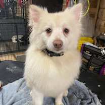 Thumbnail photo of Roman #1