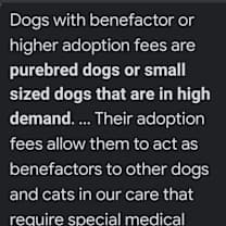 Thumbnail photo of Roman #3