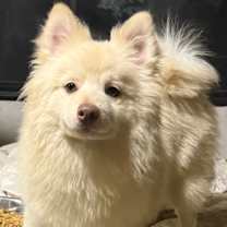 Thumbnail photo of Roman #4