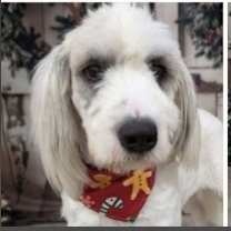 Thumbnail photo of Oakley #1