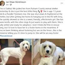 Thumbnail photo of Oakley #2