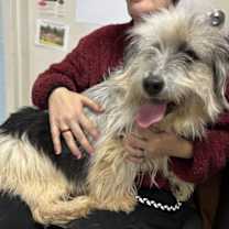 Thumbnail photo of Chris: At the shelter #2