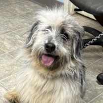 Thumbnail photo of Chris: At the shelter #3