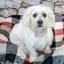 Thumbnail photo of Palmer #2