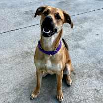 Thumbnail photo of Harper #3