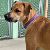 Thumbnail photo of Harper #4