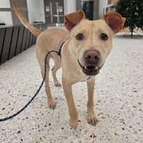 Thumbnail photo of Carol #1