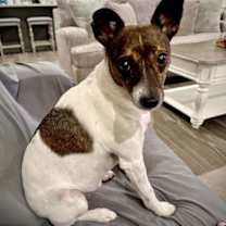 Thumbnail photo of Wyatt (TN) #1