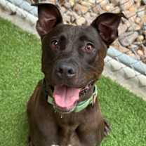 Thumbnail photo of Charlize #1