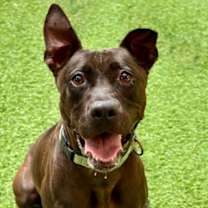 Thumbnail photo of Charlize #2