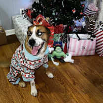 Thumbnail photo of Rio #4