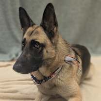 Thumbnail photo of Tillie #2