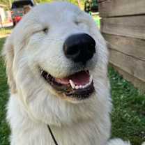 Thumbnail photo of Luna #2