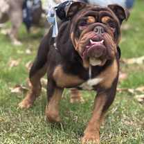 Thumbnail photo of Smitty #4