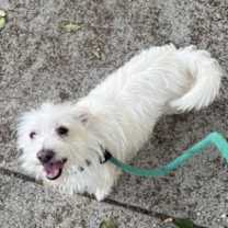 Thumbnail photo of Luck #3