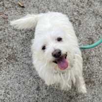 Thumbnail photo of Luck #4