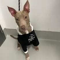 Thumbnail photo of Bernie #3