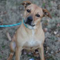 Thumbnail photo of Lucky Lady #2