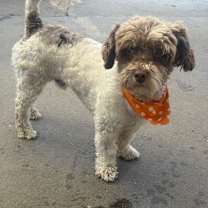 Thumbnail photo of Bravery #1