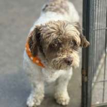 Thumbnail photo of Bravery #2