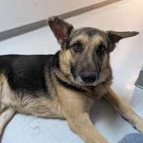 Thumbnail photo of Durham #2