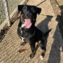 Thumbnail photo of Velma  #1