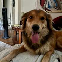 Thumbnail photo of Buddy #1