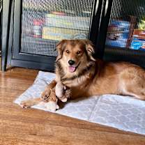 Thumbnail photo of Buddy #2