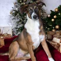 Thumbnail photo of Corin ~ meet me! #1