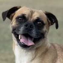 Thumbnail photo of Forest #1