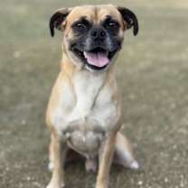 Thumbnail photo of Forest #2