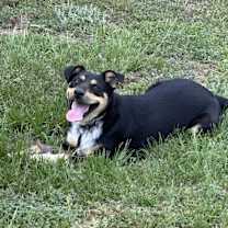 Thumbnail photo of Otis #1