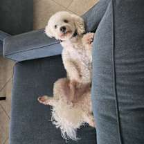 Thumbnail photo of Marvin #2