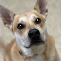 Thumbnail photo of Tebo #1