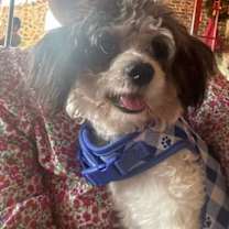 Thumbnail photo of Milo #2