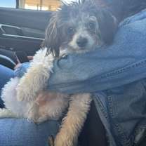 Thumbnail photo of Milo #3