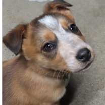 Thumbnail photo of Blizzard #2