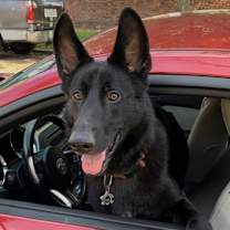 Thumbnail photo of Diablo #1